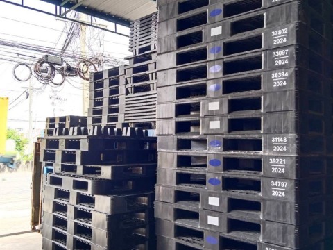 ขายส่งพาเลทพลาสติกมือ 2